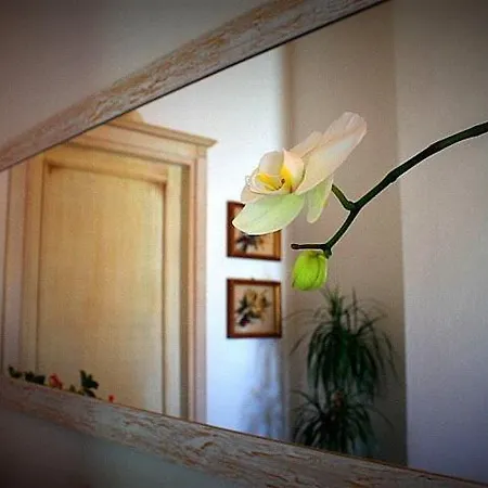 Bed & Breakfast Il Melograno Di Nora Pula