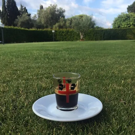 Il Melograno Di Nora Bed & Breakfast *