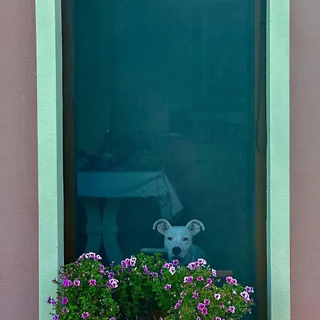 Il Melograno Di Nora * بولا